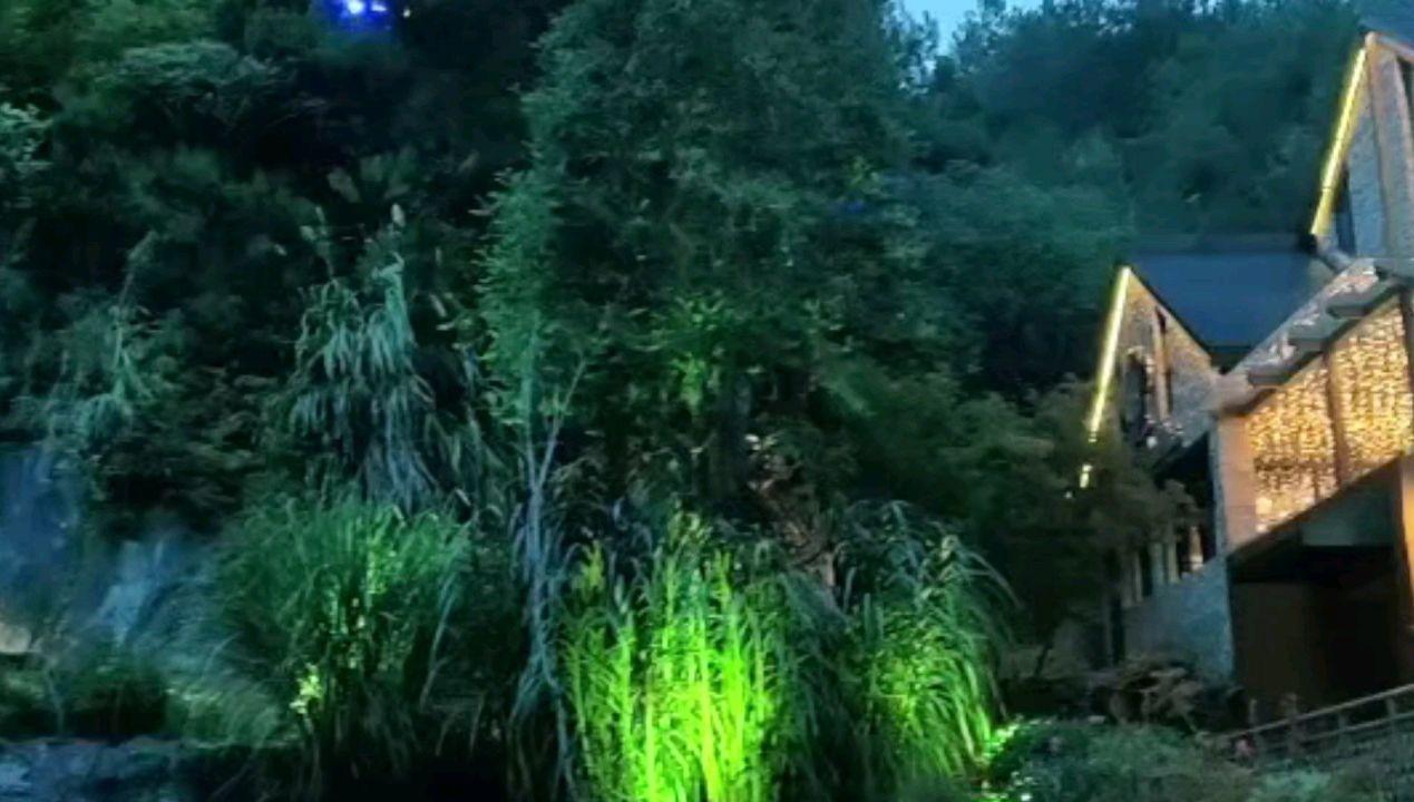 黑道圣徒4